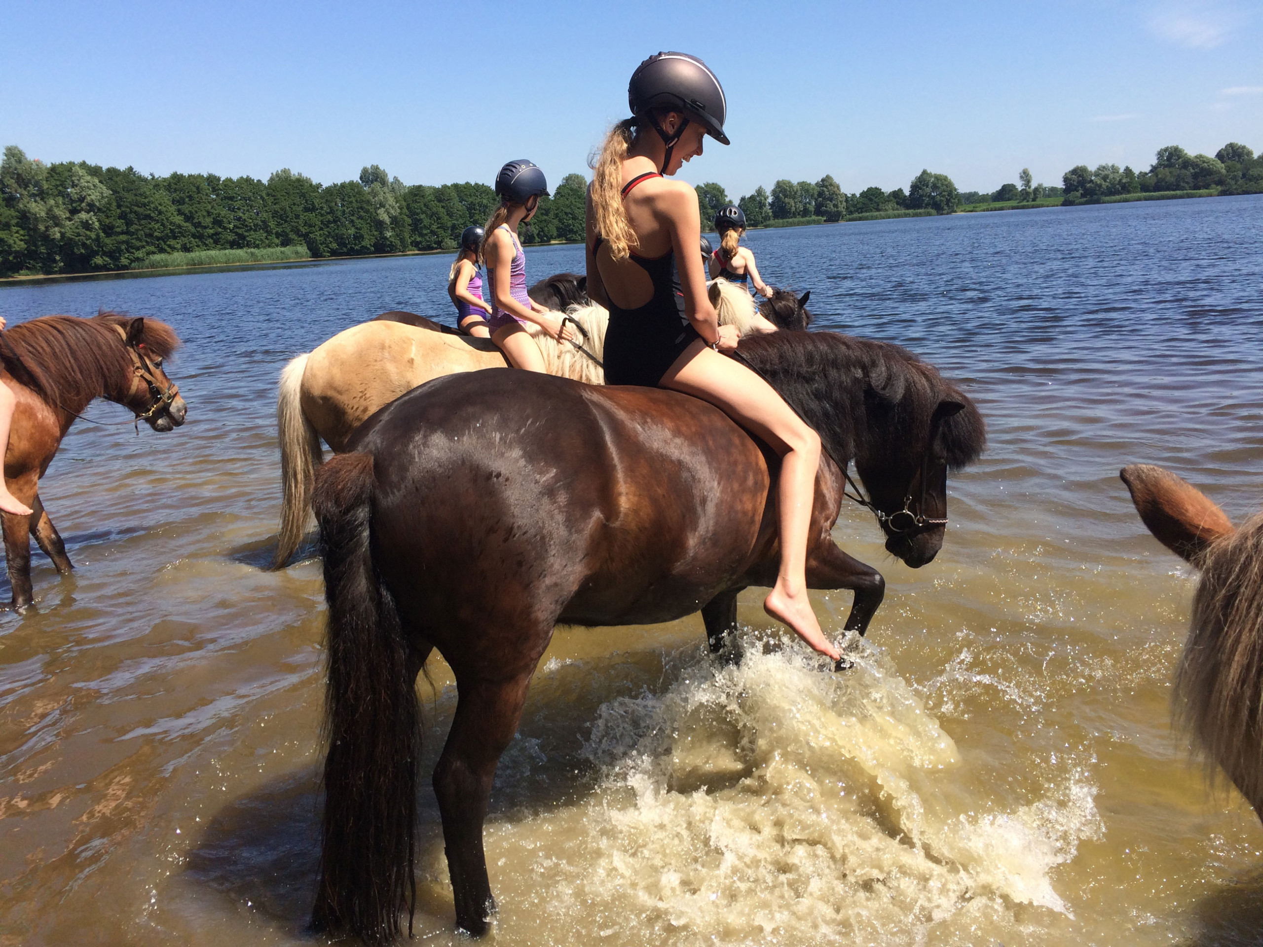 Kinder reiten im Sommer auf Islandpferden im Wasser